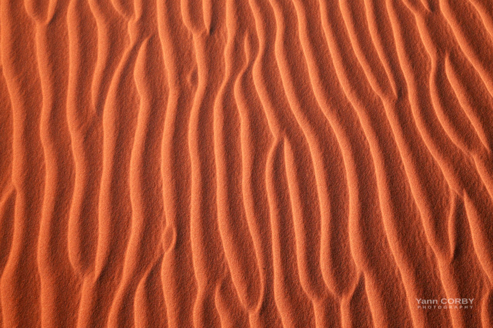 Expo - Désert du Namib